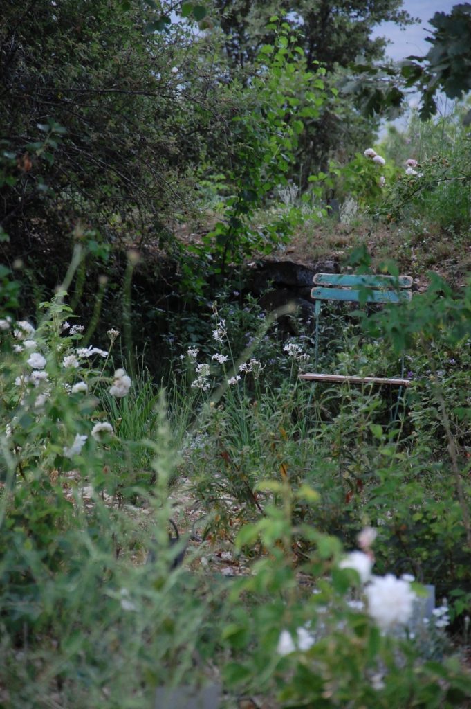 le jardin des nénétses à la roseraie de gérenton à Bédoin dans le vaucluse
