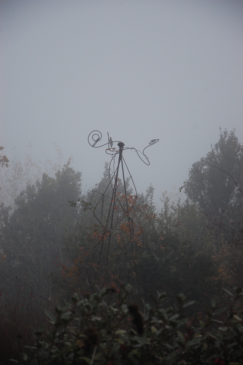 une structure du jardin émerge de la brume à la roseraie de gérenton