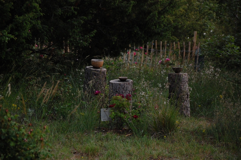 le jardin touareg et ses poterie en raku à la roseraie de gérenton jardin de roses anciennnes à Bédoin